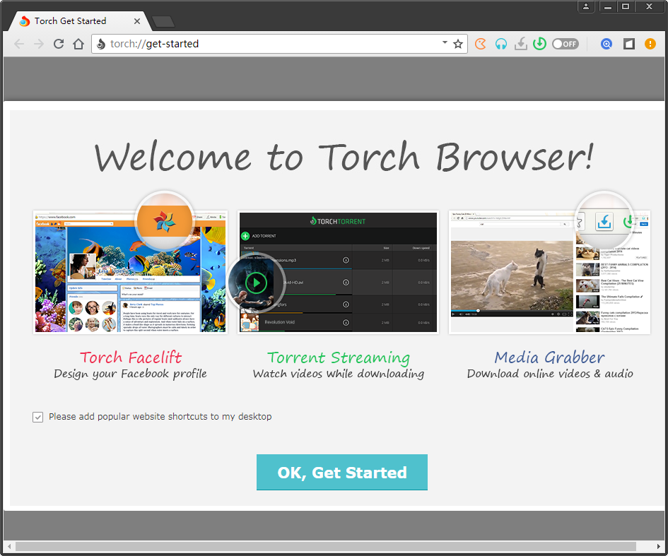 火炬浏览器(Torch)69.0.0.2990官方多语言正式版
