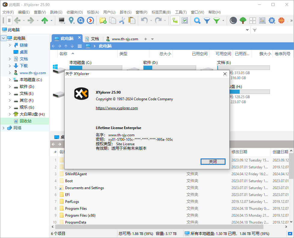 多标签文件管理器(XYplorer)25.90中文绿色便携专业版